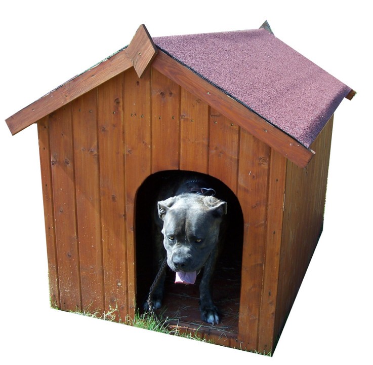 Niche à chien bi-pente Habrita de 1.17m² en bois naturel modèle NC0914.01
