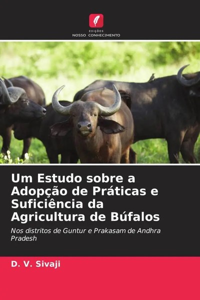 D. V. Sivaji | Um Estudo Sobre A AdopçãO De PráTicas E SuficiêNcia Da...-image