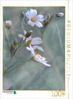 Calvendo Puzzle Forest Flower | 1000 Pieces, Finished Size 25.2 × 18.9 In (64 ×