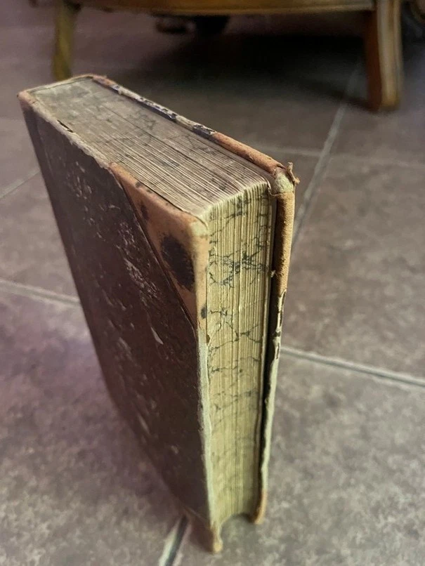 1895 Old ARMENIAN Grammar #1 Etymology; Armenische Grammatik- Etymologie; German - Image 3 of 4