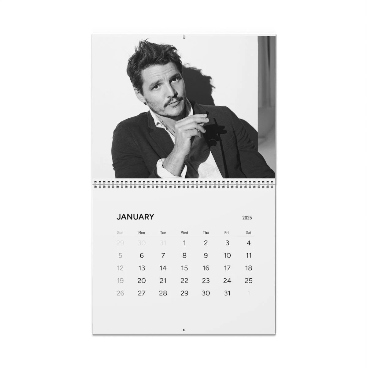 Pedro Pascal Calendar 2025 Wall Calendar