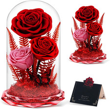 Birthday Gifts for Women Red Forever Flowers Roses Gifts in Glass Dome Preserved