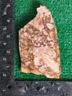 Rough Slab Dead Camel Jasper 178g. 5/16" Thick Lapidary Cabbing #B-7 — photo 3