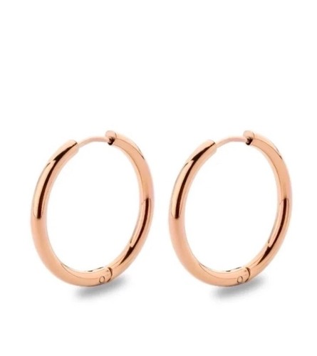 Minimalist Solid Color Stainless Steel Hoop Earrings Rose Gold