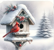 DIY Diamond Painting Kit of a Winter Bird House and Cardinal 40x40 cm G40
