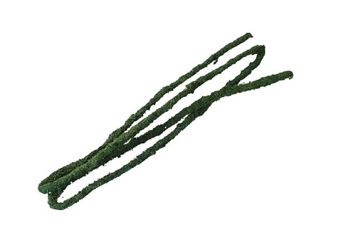 Vivarium Vid Tropical Natural Mediana Flexible 180 cms Largo x 1 cms Ancho - Imagen 3 de 4