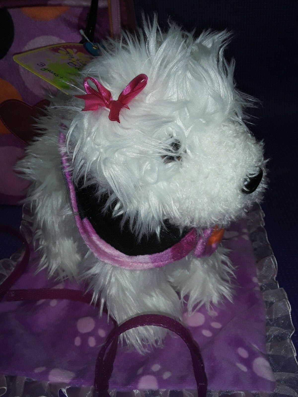 bichon frise accessories