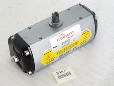 Automax Supernova Flowserve S050D S173446/1-1...