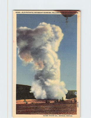 #ad Postcard Old Faithful geyser at Sunrise Yellowstone National Park Wyoming USA $3.49