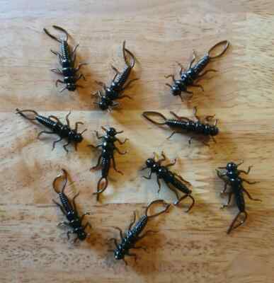 40 pack of 1.375'' stonefly nymphs - choose from 10 colors - trout panfish lures