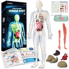 GobiDex Human Body Skeleton Model Kits, 40 Piece Anatomy Figure,Glow in The D...