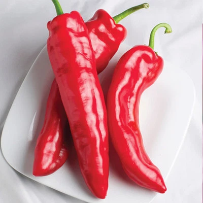 Pimiento Rojo Cuerno de Toro ( 60 semillas ) Cornicabra