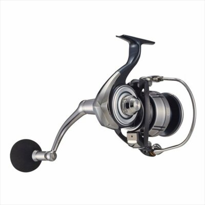 Daiwa Daiwa 21 Celtate SW 8000-P | eBay