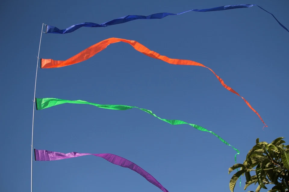 EEZ RV Products Telescoping WindSock Pole 23FT or 32FT Fiberglass - Image 3 of 4