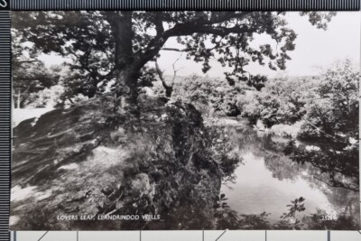 Alte Postkarte Llandrindod Wells Lovers Leap