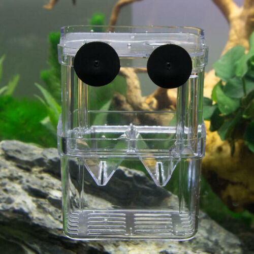 1x Fish Breeding Box Shrimp Hatchery Fish Tank Incubator UK Aquarium Tool UK - Picture 6 of 10