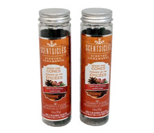 Scentsicles Scented Ornaments Spiced Pine Cones Lot 2 Fragrance Sticks Hooks