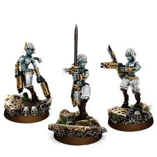 Wargame Exclusive Greater Good Widows of Vengeance Squad 28mm