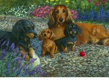 Dachshund Art Printed on a Tripple Toggle light switch plate, made in USA