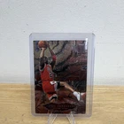 Fleer Metal 1996-97 Metal Shredders Michael Jordan Bulls #241 Basketball Card