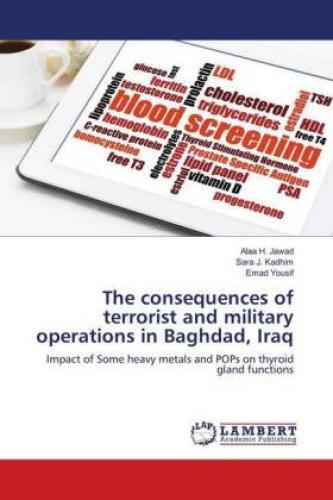 Thumbnail - The Consequences Of Terrorist And Military Operations In Baghdad, Iraq