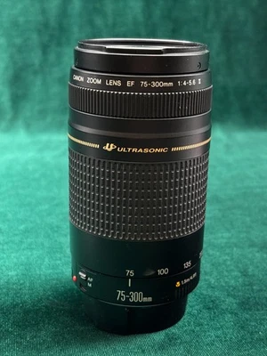 Téléobjectif Canon EF 75-300mm f/4-5.6 II USM pour pièces - Photo 1/4