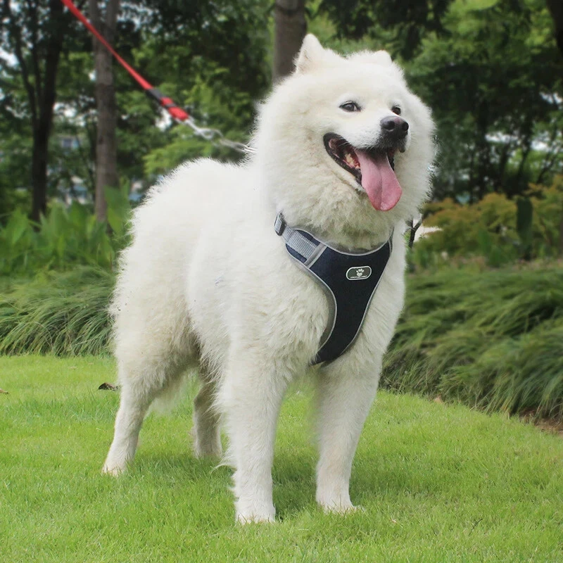 Dog Harness Vest Breathable Dog Training Reflective Nylon Pet Chest Strap New US