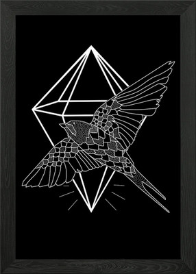 Fliegender Vogel Gerahmtes Wandbild Poster Leinwanddruck Bild