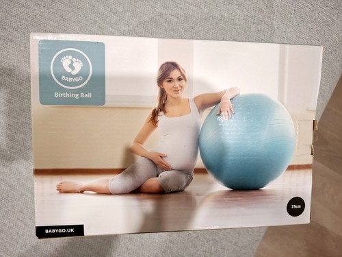Birthing Ball Pregnancy Maternity Labor & Yoga Ball +Our 100 Page Pregnancy Book - Picture 1 of 4