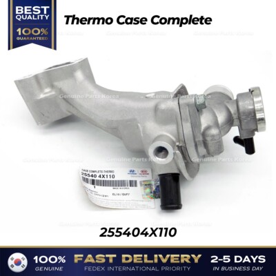 ⭐Genuine⭐ Thermo Case Complete 255404X110 for Hyundai Terracan