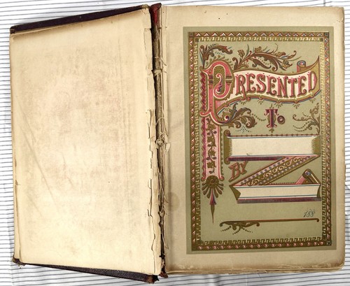 Nationale Enzyklopädie der Geschäfts- und Sozialformen 1884 Hardcover Etikette - Bild 4 von 24