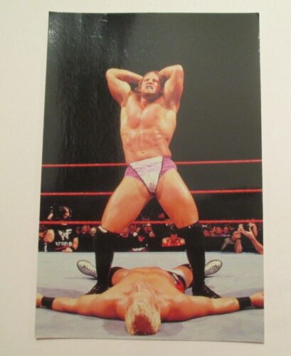 Val Venis WF Wrestle Mania Live Wrestling kontinentale Größe Postkarte - Bild 1 von 2