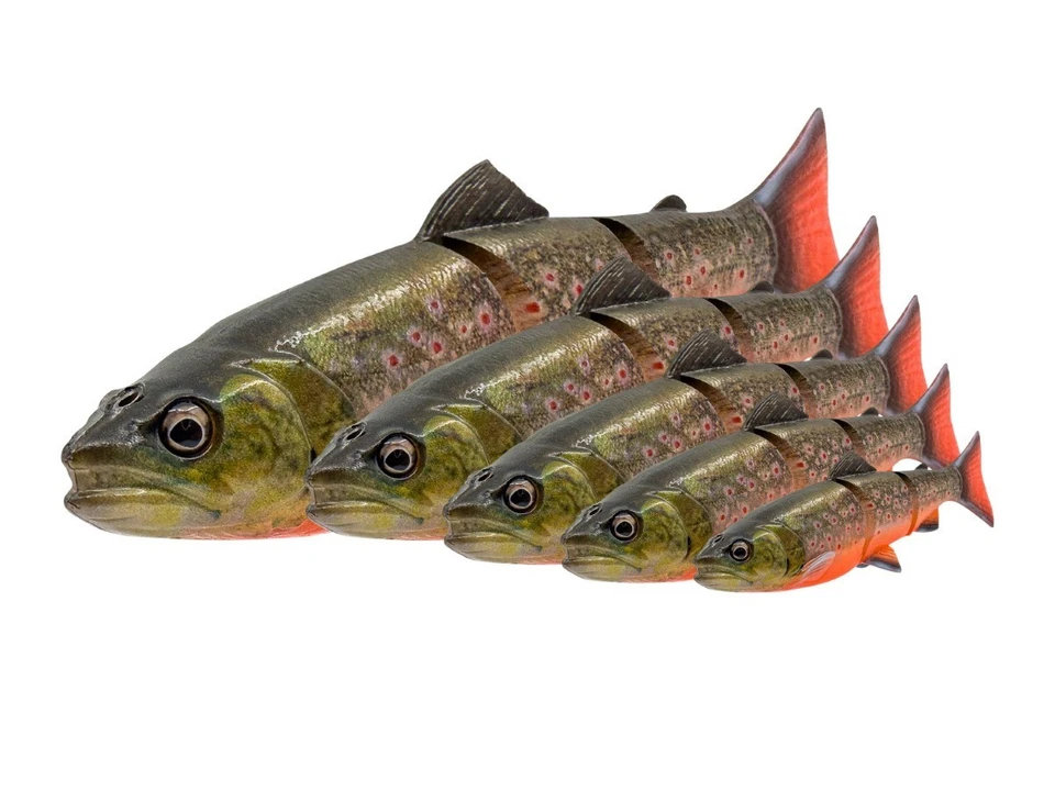 NEUF 2026 Savage Gear 3D Line Thru Trout 40cm 685g SS Coulée Lente Leurre souple - Photo 1/1