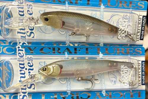 (2) Lucky Craft Pointer 100DD Deep Diver Suspending Jerkbait -Salty Ghost Minnow - Picture 9 of 10