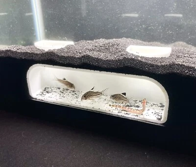 Bottom Dweller Underground Tunnel Aquarium Cave Fish Tank Decorations Ornament