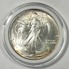 1986 American Silver Eagle, Uncirculated in Plastic Capsule, Free Shipping!