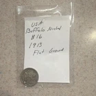 1913 Buffalo Nickel 5C Flat Ground Variety United States Coin Uncertified