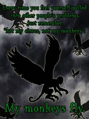 Not My Circus My Monkeys Fly Wizard of Oz, WOZ Humor Metal Sign