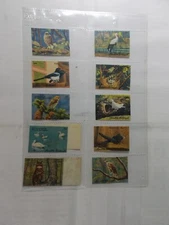 Lindt & Sprungli Trade Cards Swiss Birds Stickers Complete Set 12 in Pages