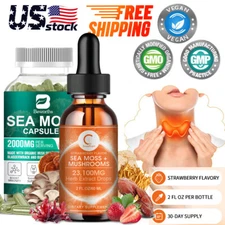 Irish Sea Moss, Bladderwrack Thyroid & Immune Support Natural Energy