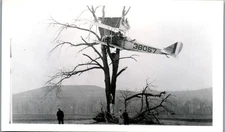 Curtiss Biplane Photo (3 x 5)