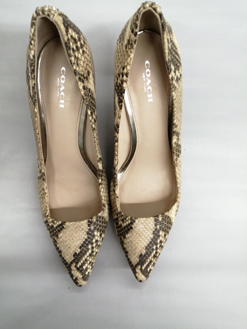 Coach Python Pattern 26.5Cm Pumps High Heels FY274 - image 2