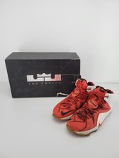 lebron james heart of a lion shoes