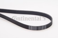 1 X Keilrippenriemen Contitech 6PK2260 FüR Mercedes-Benz