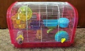 fun hamster cages