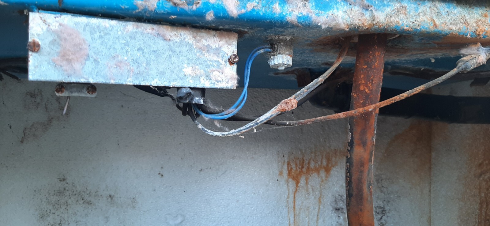 ritchie water fountain livestock waterer cd50 eBay