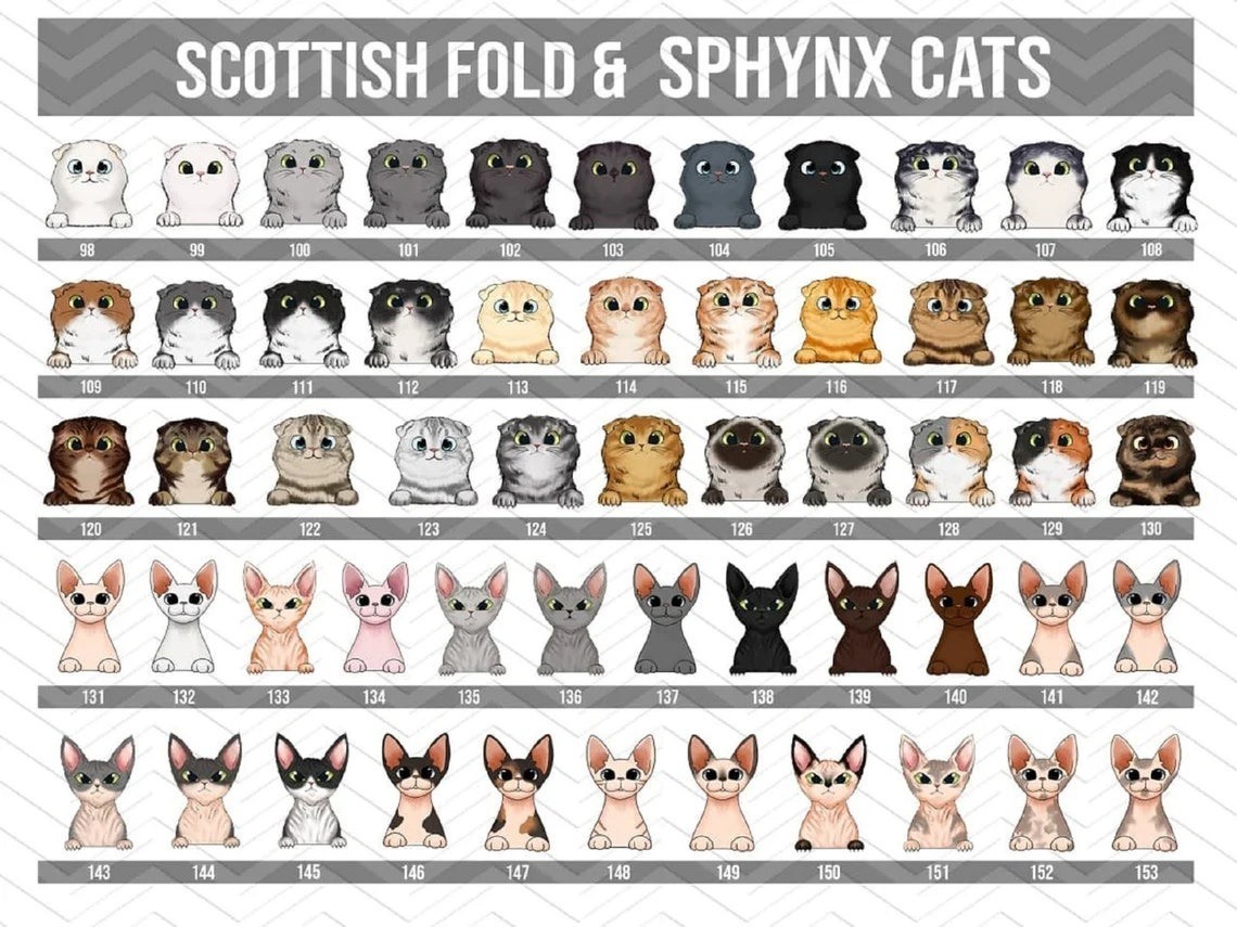 Welcome To Our Home Custom Dog Cat Name Doormat Rug Personalized Floor Mats