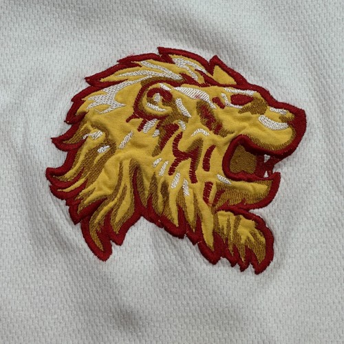 Vintage Harry Potter Shirt Youth XL White Black Gryffindor Quidditch Jersey Y2K - Picture 6 of 18