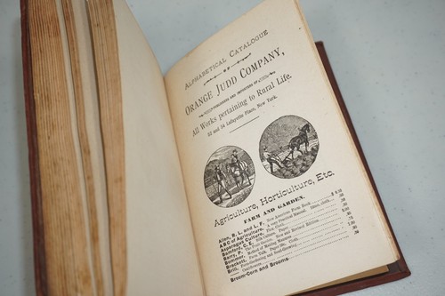 1890 Practical Floriculture by Peter Henderson Florist Flowers Gardening Book - Picture 14 of 15