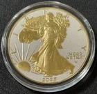 2025 1 Oz .999 American Silver Eagle ASE USA White Diamond Dust 24k Gold Gilded!